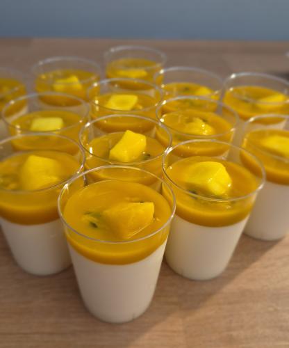 Panna Cotta Mangue Passion